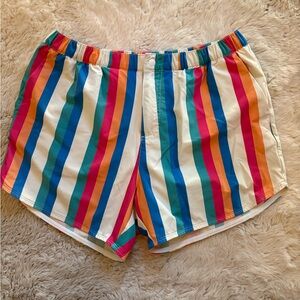 Chubbies Multicolor Striped Men’s Swim Shorts